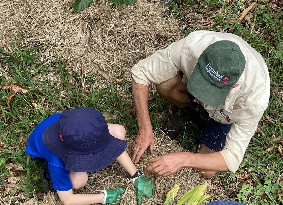 Big Scrub Rainforest Schools Day