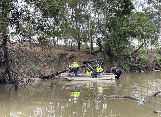 Rous receives funding to restore section of Bungawalbyn Creek bank