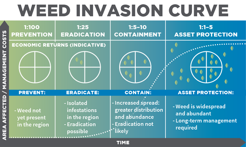 Weed invasion curve