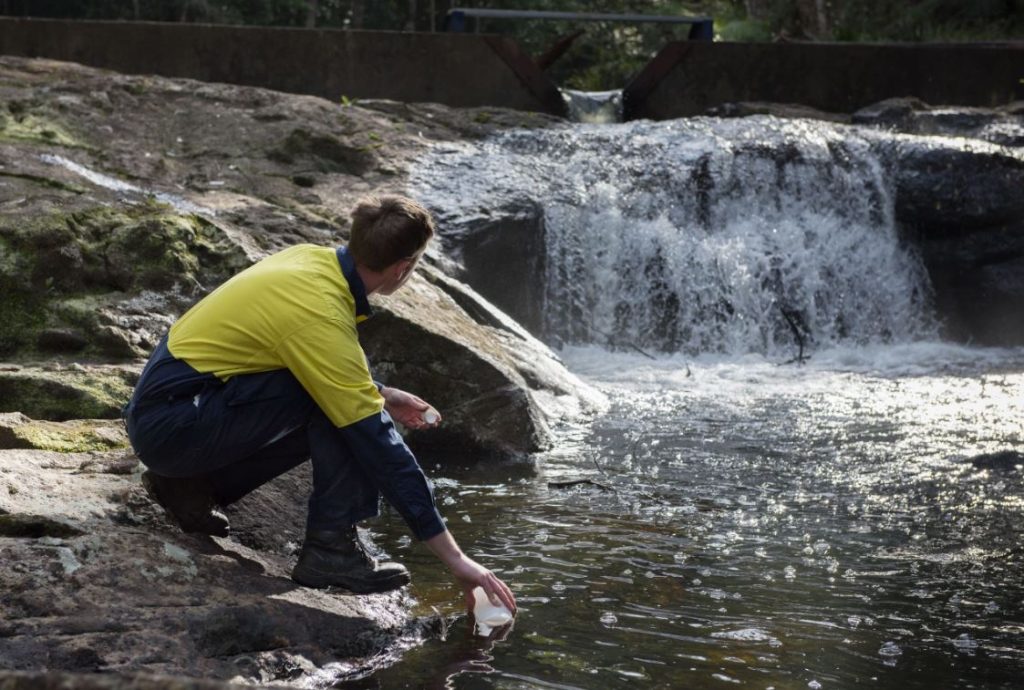 PFAS - Rous County Council